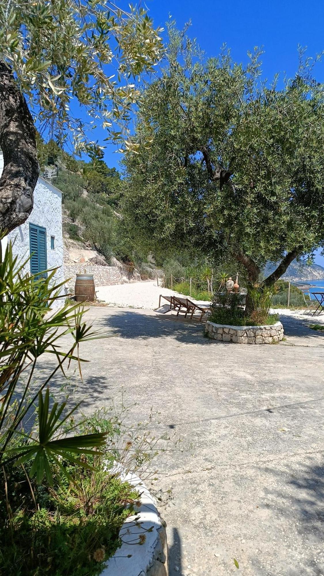 Petra Bianca Charming House Villa Mattinata Exteriör bild